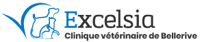Excelsia Logo