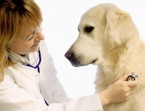 Visite annuelle de santé