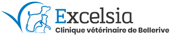 Excelsia Logo